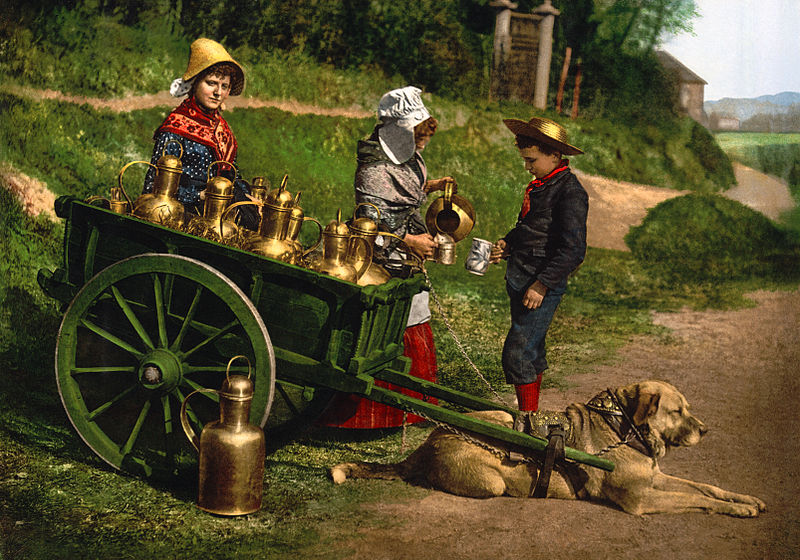 File:Dogcart2.jpg