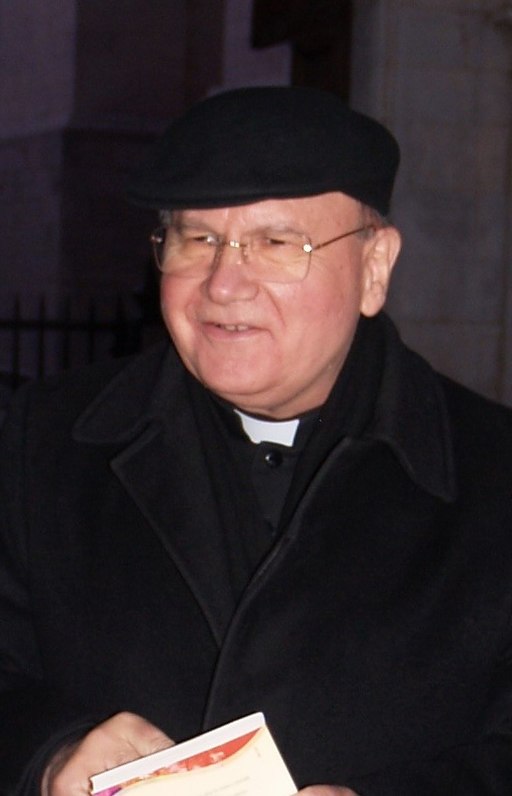 Domenico Sorrentino (cropped)