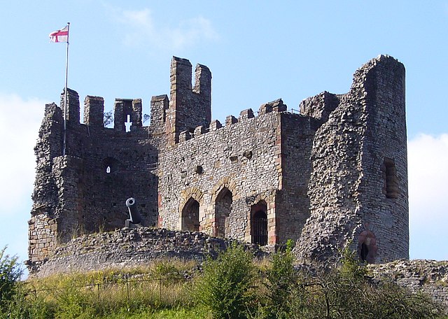 Image: Dudley Castle   panoramio   Tanya Dedyukhina (2)