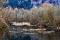 English: Riparian forest near the Drava river Deutsch: Aulandschaft an der Drau