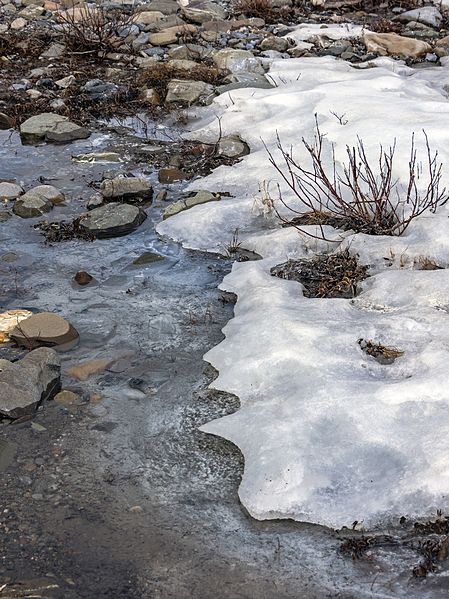 File:Edge of aufeis near Firth River above Joe Creek confluence, Ivvavik National Park, YT.jpg