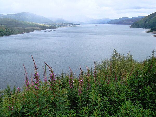 Loch Carron (Scottish Highlands)