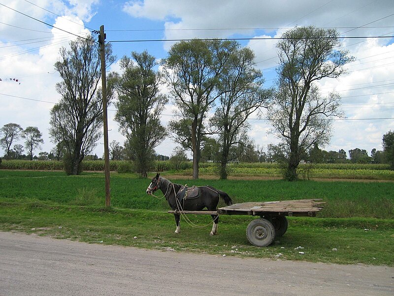 File:Ejido B-Tocuila Texcoco Mexico.jpg