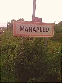 Mahapleu