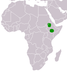 Etiopinio šakalo paplitimas