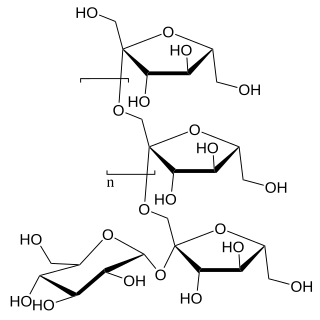 <span class="mw-page-title-main">Fructooligosaccharide</span> Oligosaccharide fructans