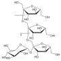 Vignette pour Fructo-oligosaccharide