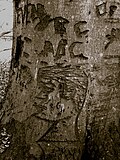 Thumbnail for Perryville Tree engravings