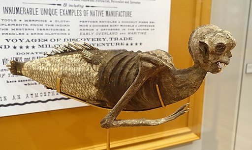 Feejee Mermaid, shown in P.T. Barnum's American Museum, 1842, as leased from Moses Kimball of the Boston Museum, papier-mache - Peabody Museum, Harvard University - DSC06154