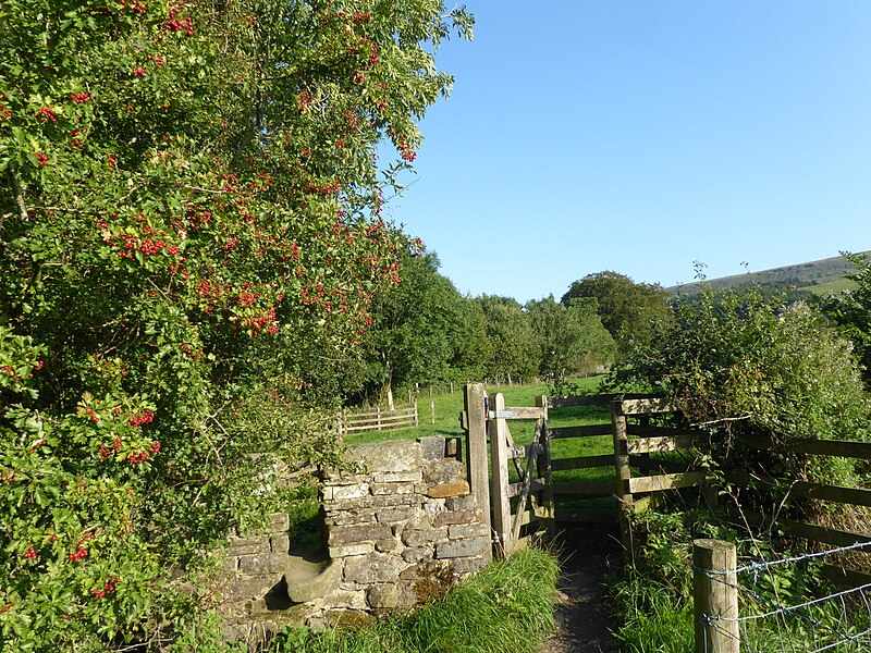 File:Footpath to Clay House - geograph.org.uk - 5976536.jpg