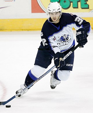 <span class="mw-page-title-main">František Lukeš</span> Czech ice hockey player