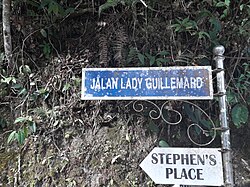 Lady Guillemard Road