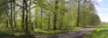 English: Panoramic view of Nature reserve "Im Pfaffendriesch" near Stollmuehle, Reinhards, Freiensteinau, Hesse, Germany This is a picture of the protected area listed at WDPA under the ID 318593