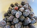 Frozen blueberries (9586505754).jpg