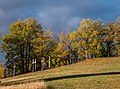 * Nomination Sculpture near Garaio, Ullíbarri-Gamboa reservoir. Álava, Basque Country, Spain --Basotxerri 16:10, 15 November 2017 (UTC) * Promotion Good quality. Nice light. --Milseburg 16:21, 15 November 2017 (UTC)