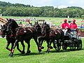 Fahren, CHIO Aachen 2007