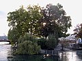 L'île vue du pont des Bergues.