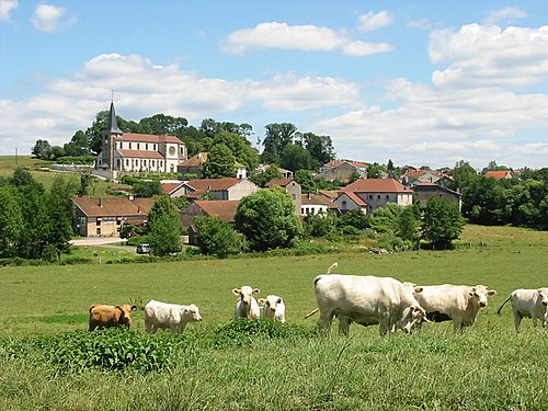 Ouverture de porte Grandvillers (88600)