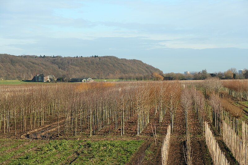 File:Grebbeberg the Netherlands.jpg