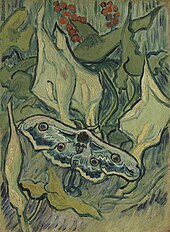 Giant Peacock Moth On Arum by Vincent van Gogh, 1889. A painting with Saturnia pyri, a saturniid moth, as motif. Grote nachtpauwoog - s0189V1962 - Van Gogh Museum.jpg