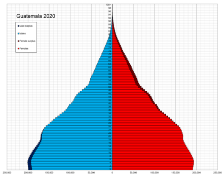 Population pyramid in 2020