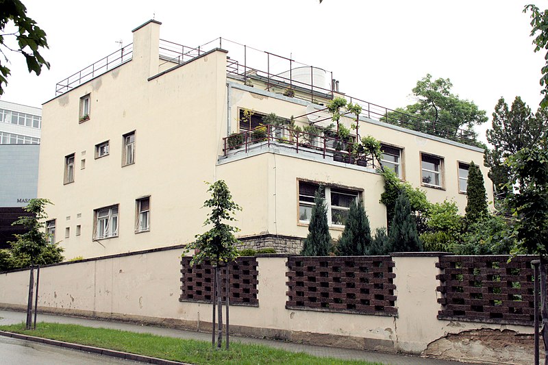 File:Haasova vila, Brno Lipová 3.jpg