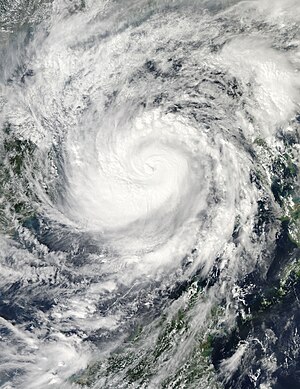 Haiyan 2013-11-09 0555Z.jpg