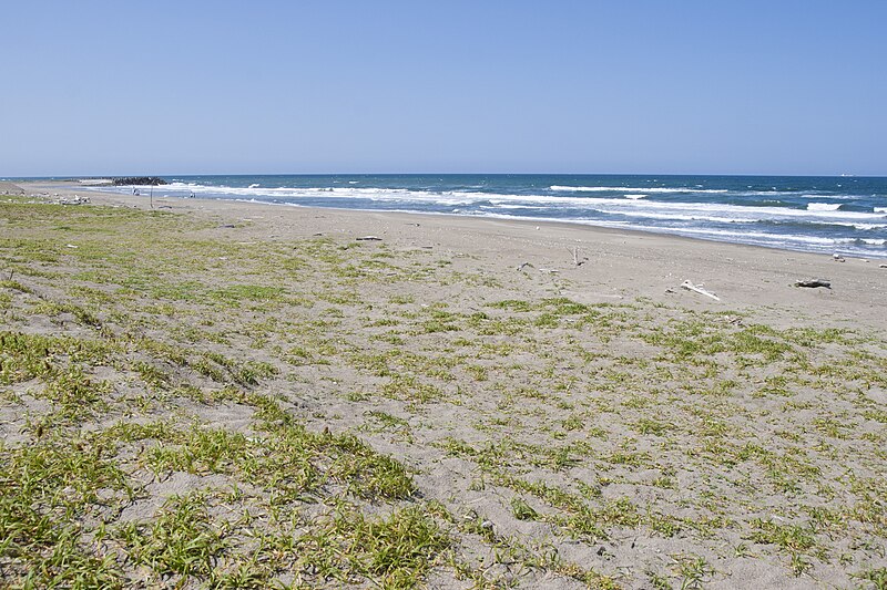 File:Hasaki Beach, Ibaraki 08.jpg