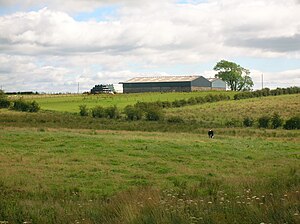 Hill of Pokelly Farm. Hill of Pokelly Farm from Balgray.jpg