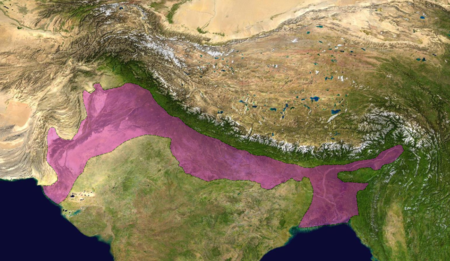 Satellite image of the Himalayas with the Himalayan foreland basin highlighted in purple Himalayan foreland basin.png