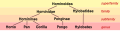 Pisipilt versioonist seisuga 1. jaanuar 2008, kell 14:35