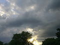 Horizon et ciel vespéraux à Grez-Doiceau 003.jpg