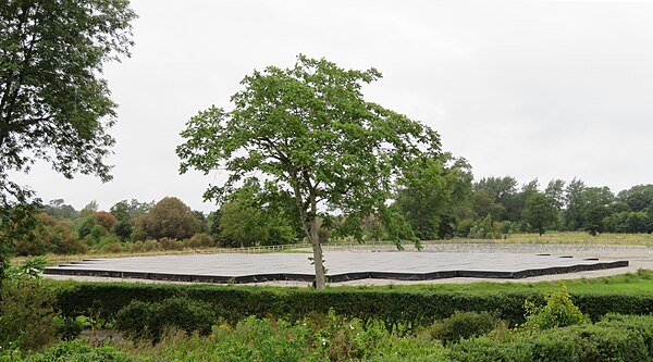 The Irish LOFAR array (I-LOFAR) in Birr, County Offaly.