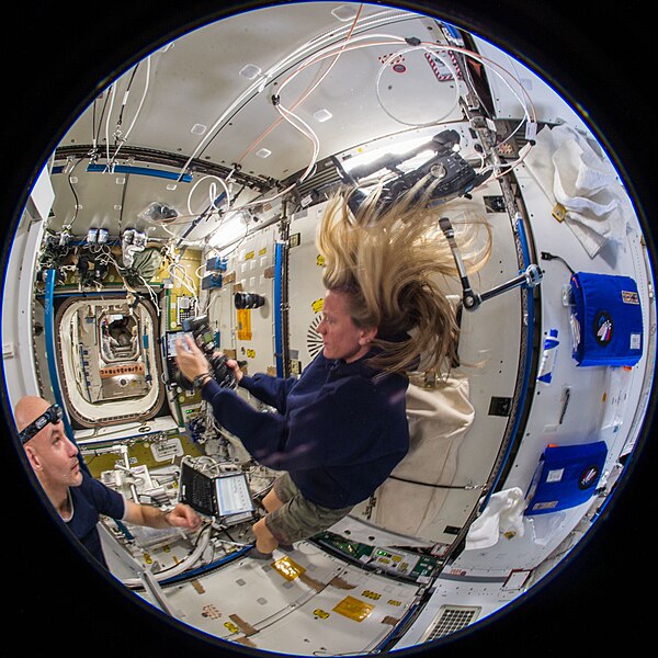 File:ISS-36 Luca Parmitano and Karen Nyberg in the Tranquility module.jpg