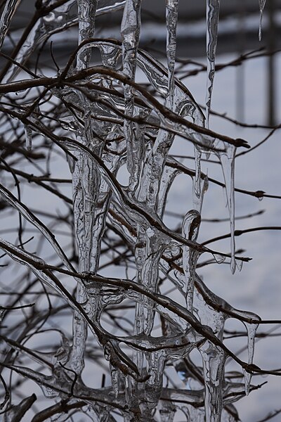 File:Icicles Styria.JPG