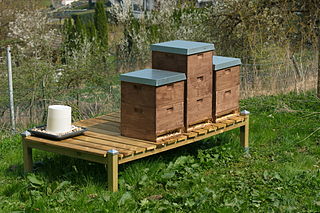 <span class="mw-page-title-main">Langstroth hive</span> Vertically modular beehive with hung brood and honey frames