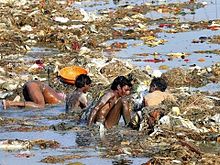 causes of yamuna pollution