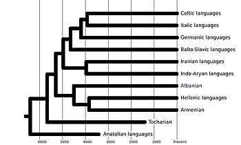 Phylogenetic tree of the Indo-European languages.