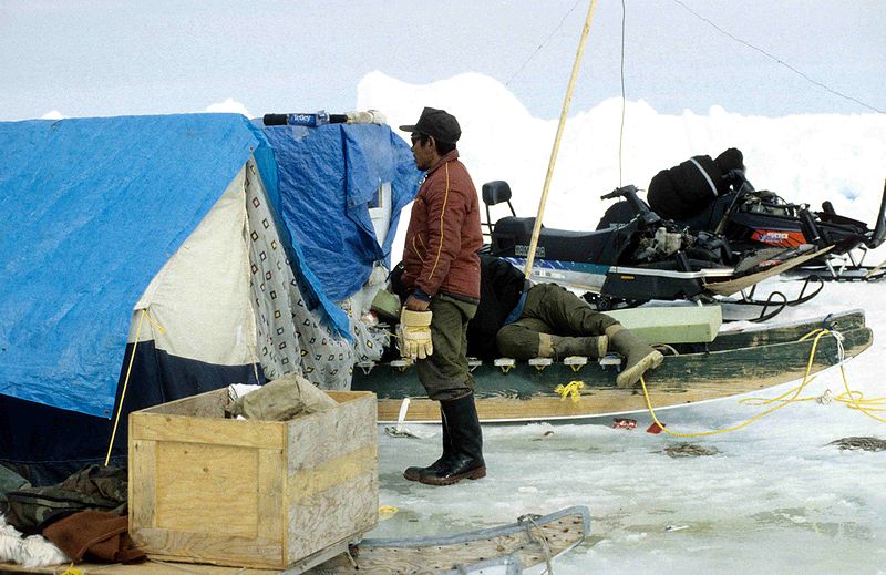 File:Inuit Hunters' Camp 1995-06-11.jpg