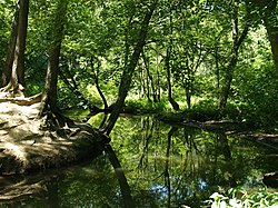 Isaac Branch im Breaknock Park.jpg