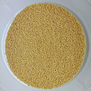 Millet grains on a plate