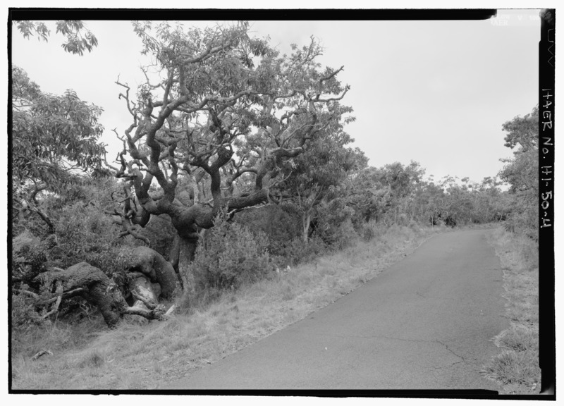 File:KEAMOKU LAVA FLOW AREA WITH MINI VAN FOR SCALE. - Mauna Loa Road, Volcano, Hawaii County, HI HAER HI-50-4.tif