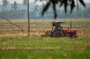 Kandankary paddy field.jpg