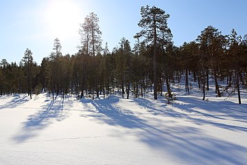 Kattajärvi