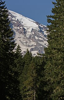 Kautz Glacier Glacier in the United States