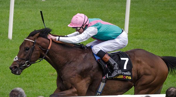 Kingman at the Irish 2000 Guineas