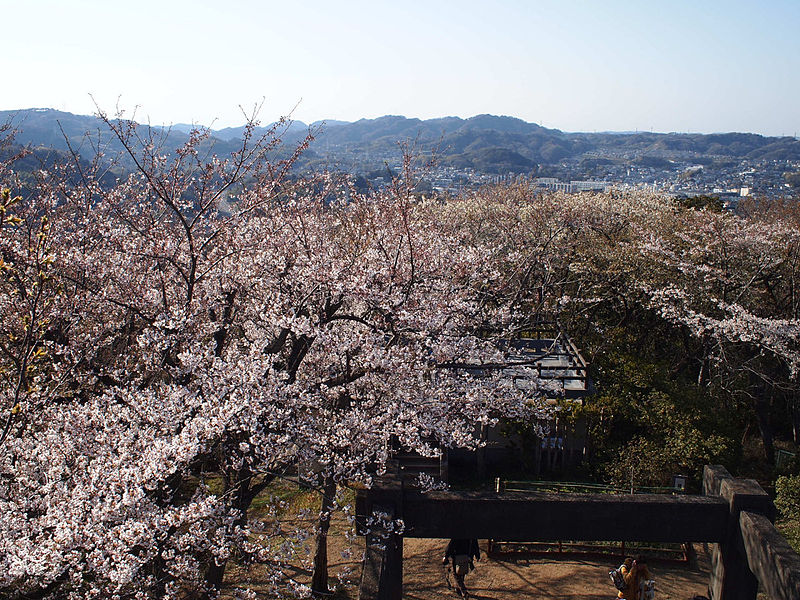 File:Kinugasayama Park01.jpg