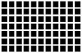 Vidíte bílou mřížku, nebo se nejedná o mřížku, ale o černé čtverečky?