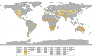 Karta sa regijama svijeta koje imaju Polupustinjsku klimu (narančasto su označena područja sa Vrućom polupustinjskom klimom - BSh, a žuto područja sa Hladnom polupustinjskom klimom - BSk)