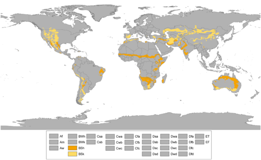 Koppen World Map BSh BSk